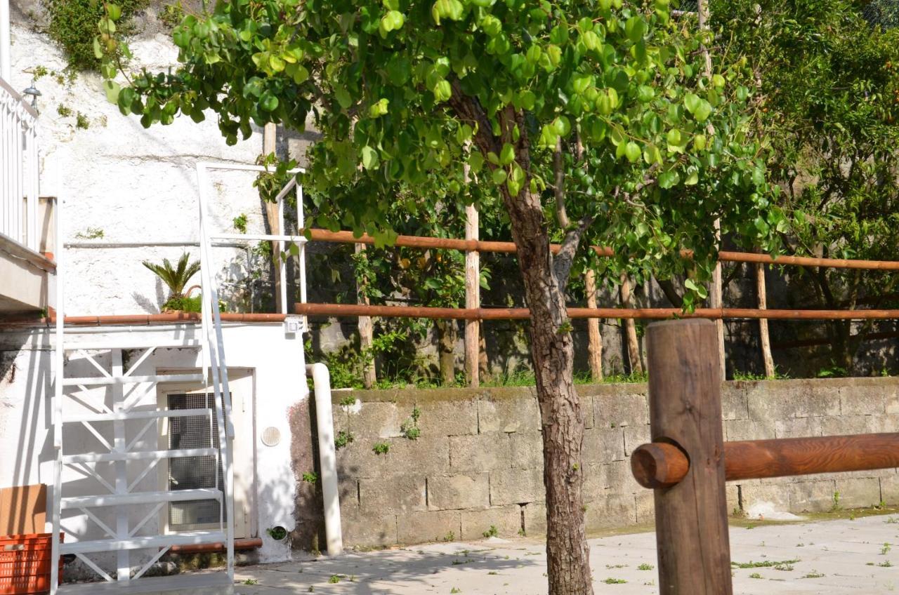 Villa Luciana Sant'Agnello Exterior foto