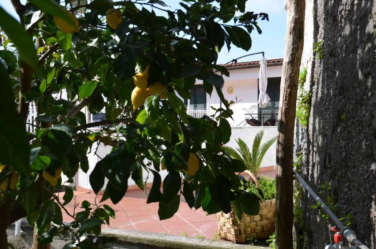 Villa Luciana Sant'Agnello Exterior foto